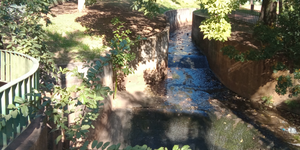 Unveil 8a21a6f614db065bb1ca2c21a5c803aede783f93e5277febbd47f37d9dbae4ca