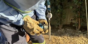 Unveil 8a21a6f614db065bb1ca2c21a5c803aede783f93e5277febbd47f37d9dbae4ca