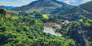 Unveil 8a21a6f614db065bb1ca2c21a5c803aede783f93e5277febbd47f37d9dbae4ca