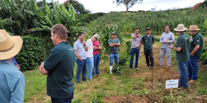 Unveil 8a21a6f614db065bb1ca2c21a5c803aede783f93e5277febbd47f37d9dbae4ca