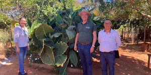 Unveil 8a21a6f614db065bb1ca2c21a5c803aede783f93e5277febbd47f37d9dbae4ca