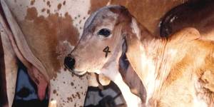 Unveil 8a21a6f614db065bb1ca2c21a5c803aede783f93e5277febbd47f37d9dbae4ca