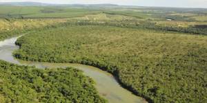 Unveil 8a21a6f614db065bb1ca2c21a5c803aede783f93e5277febbd47f37d9dbae4ca