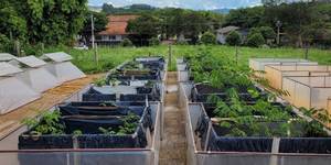 Unveil 8a21a6f614db065bb1ca2c21a5c803aede783f93e5277febbd47f37d9dbae4ca