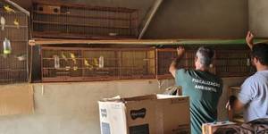 Unveil 8a21a6f614db065bb1ca2c21a5c803aede783f93e5277febbd47f37d9dbae4ca