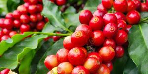 Unveil 8a21a6f614db065bb1ca2c21a5c803aede783f93e5277febbd47f37d9dbae4ca