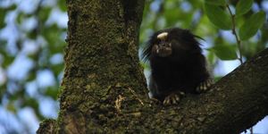 Unveil 8a21a6f614db065bb1ca2c21a5c803aede783f93e5277febbd47f37d9dbae4ca