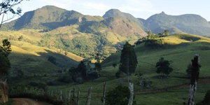 Unveil 8a21a6f614db065bb1ca2c21a5c803aede783f93e5277febbd47f37d9dbae4ca