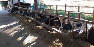 Unveil 8a21a6f614db065bb1ca2c21a5c803aede783f93e5277febbd47f37d9dbae4ca