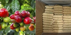 Unveil 8a21a6f614db065bb1ca2c21a5c803aede783f93e5277febbd47f37d9dbae4ca