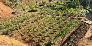 Unveil 8a21a6f614db065bb1ca2c21a5c803aede783f93e5277febbd47f37d9dbae4ca