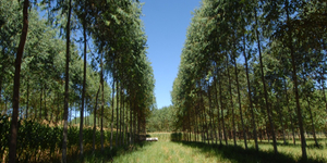 Unveil 8a21a6f614db065bb1ca2c21a5c803aede783f93e5277febbd47f37d9dbae4ca