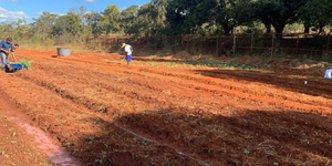 Unveil 8a21a6f614db065bb1ca2c21a5c803aede783f93e5277febbd47f37d9dbae4ca