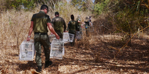 Unveil 8a21a6f614db065bb1ca2c21a5c803aede783f93e5277febbd47f37d9dbae4ca