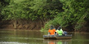 Unveil 8a21a6f614db065bb1ca2c21a5c803aede783f93e5277febbd47f37d9dbae4ca