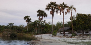 Unveil 8a21a6f614db065bb1ca2c21a5c803aede783f93e5277febbd47f37d9dbae4ca