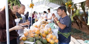 Unveil 8a21a6f614db065bb1ca2c21a5c803aede783f93e5277febbd47f37d9dbae4ca