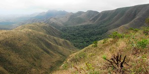 Unveil 8a21a6f614db065bb1ca2c21a5c803aede783f93e5277febbd47f37d9dbae4ca