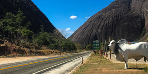 Unveil 8a21a6f614db065bb1ca2c21a5c803aede783f93e5277febbd47f37d9dbae4ca