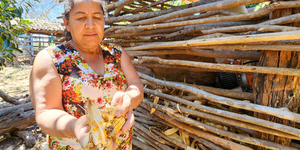 Unveil 8a21a6f614db065bb1ca2c21a5c803aede783f93e5277febbd47f37d9dbae4ca