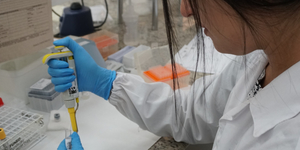 Unveil 8a21a6f614db065bb1ca2c21a5c803aede783f93e5277febbd47f37d9dbae4ca