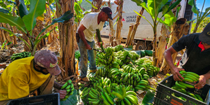 Unveil 8a21a6f614db065bb1ca2c21a5c803aede783f93e5277febbd47f37d9dbae4ca