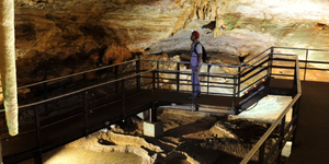 Unveil 8a21a6f614db065bb1ca2c21a5c803aede783f93e5277febbd47f37d9dbae4ca