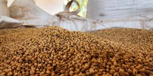 Unveil 8a21a6f614db065bb1ca2c21a5c803aede783f93e5277febbd47f37d9dbae4ca