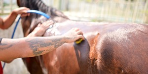 Unveil 8a21a6f614db065bb1ca2c21a5c803aede783f93e5277febbd47f37d9dbae4ca