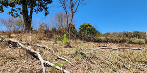 Unveil 8a21a6f614db065bb1ca2c21a5c803aede783f93e5277febbd47f37d9dbae4ca