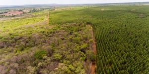 Unveil 8a21a6f614db065bb1ca2c21a5c803aede783f93e5277febbd47f37d9dbae4ca