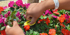 Unveil 8a21a6f614db065bb1ca2c21a5c803aede783f93e5277febbd47f37d9dbae4ca