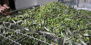 Unveil 8a21a6f614db065bb1ca2c21a5c803aede783f93e5277febbd47f37d9dbae4ca