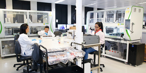 Unveil 8a21a6f614db065bb1ca2c21a5c803aede783f93e5277febbd47f37d9dbae4ca