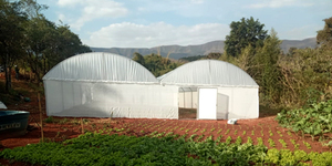 Unveil 8a21a6f614db065bb1ca2c21a5c803aede783f93e5277febbd47f37d9dbae4ca