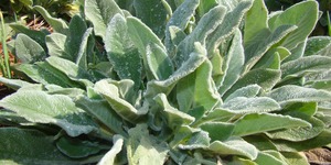 Unveil 8a21a6f614db065bb1ca2c21a5c803aede783f93e5277febbd47f37d9dbae4ca