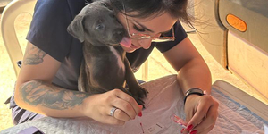 Unveil 8a21a6f614db065bb1ca2c21a5c803aede783f93e5277febbd47f37d9dbae4ca