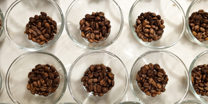 Unveil 8a21a6f614db065bb1ca2c21a5c803aede783f93e5277febbd47f37d9dbae4ca