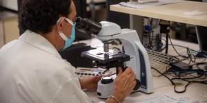 Unveil 8a21a6f614db065bb1ca2c21a5c803aede783f93e5277febbd47f37d9dbae4ca