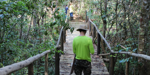 Unveil 8a21a6f614db065bb1ca2c21a5c803aede783f93e5277febbd47f37d9dbae4ca