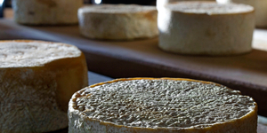 Unveil 8a21a6f614db065bb1ca2c21a5c803aede783f93e5277febbd47f37d9dbae4ca