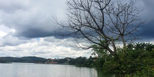 Unveil 8a21a6f614db065bb1ca2c21a5c803aede783f93e5277febbd47f37d9dbae4ca