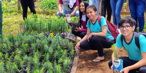 Unveil 8a21a6f614db065bb1ca2c21a5c803aede783f93e5277febbd47f37d9dbae4ca