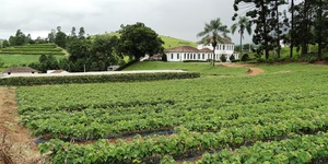 Unveil 8a21a6f614db065bb1ca2c21a5c803aede783f93e5277febbd47f37d9dbae4ca