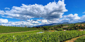 Unveil 8a21a6f614db065bb1ca2c21a5c803aede783f93e5277febbd47f37d9dbae4ca