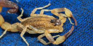 Unveil 8a21a6f614db065bb1ca2c21a5c803aede783f93e5277febbd47f37d9dbae4ca