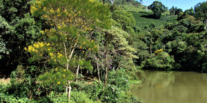 Unveil 8a21a6f614db065bb1ca2c21a5c803aede783f93e5277febbd47f37d9dbae4ca