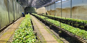 Unveil 8a21a6f614db065bb1ca2c21a5c803aede783f93e5277febbd47f37d9dbae4ca