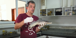 Unveil 8a21a6f614db065bb1ca2c21a5c803aede783f93e5277febbd47f37d9dbae4ca