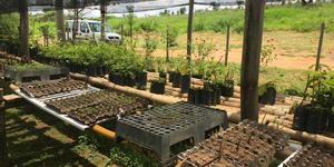 Unveil 8a21a6f614db065bb1ca2c21a5c803aede783f93e5277febbd47f37d9dbae4ca